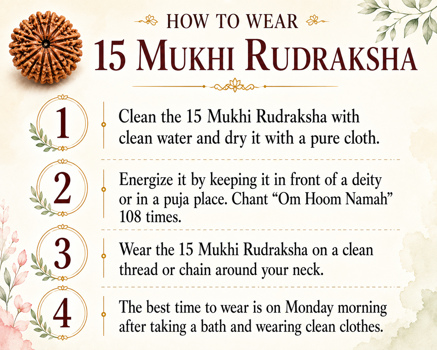 15 Mukhi Rudraksha (Nepal Origin)